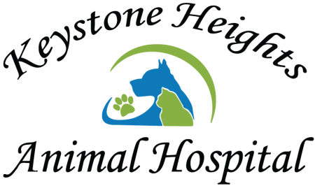 Keystone Heights Animal Hospital